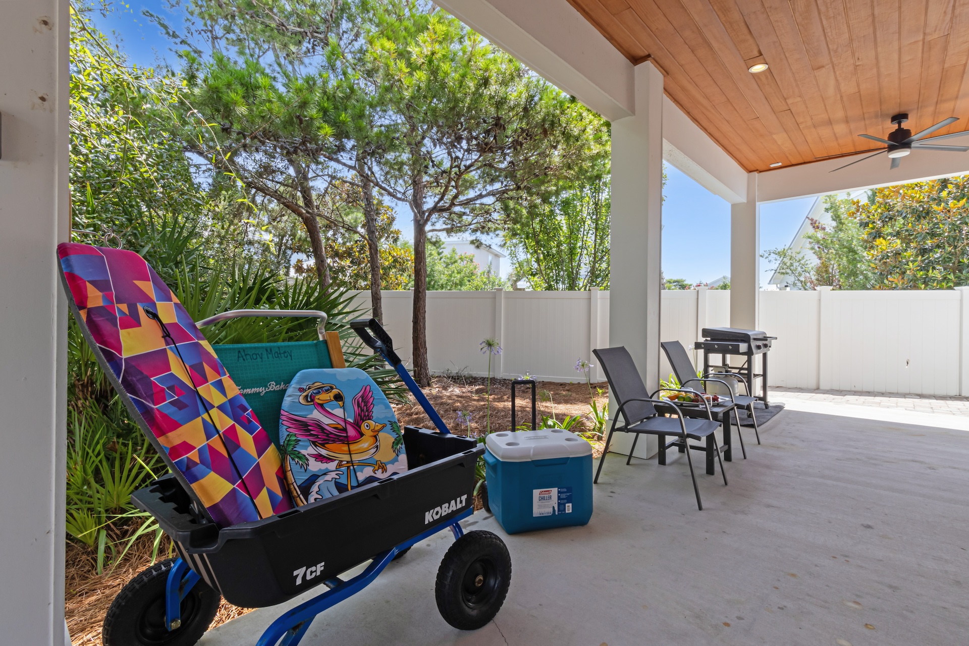 Beach toys and wagon