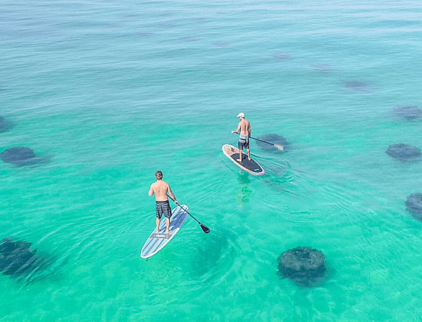 Nearby the Dolphin Reef