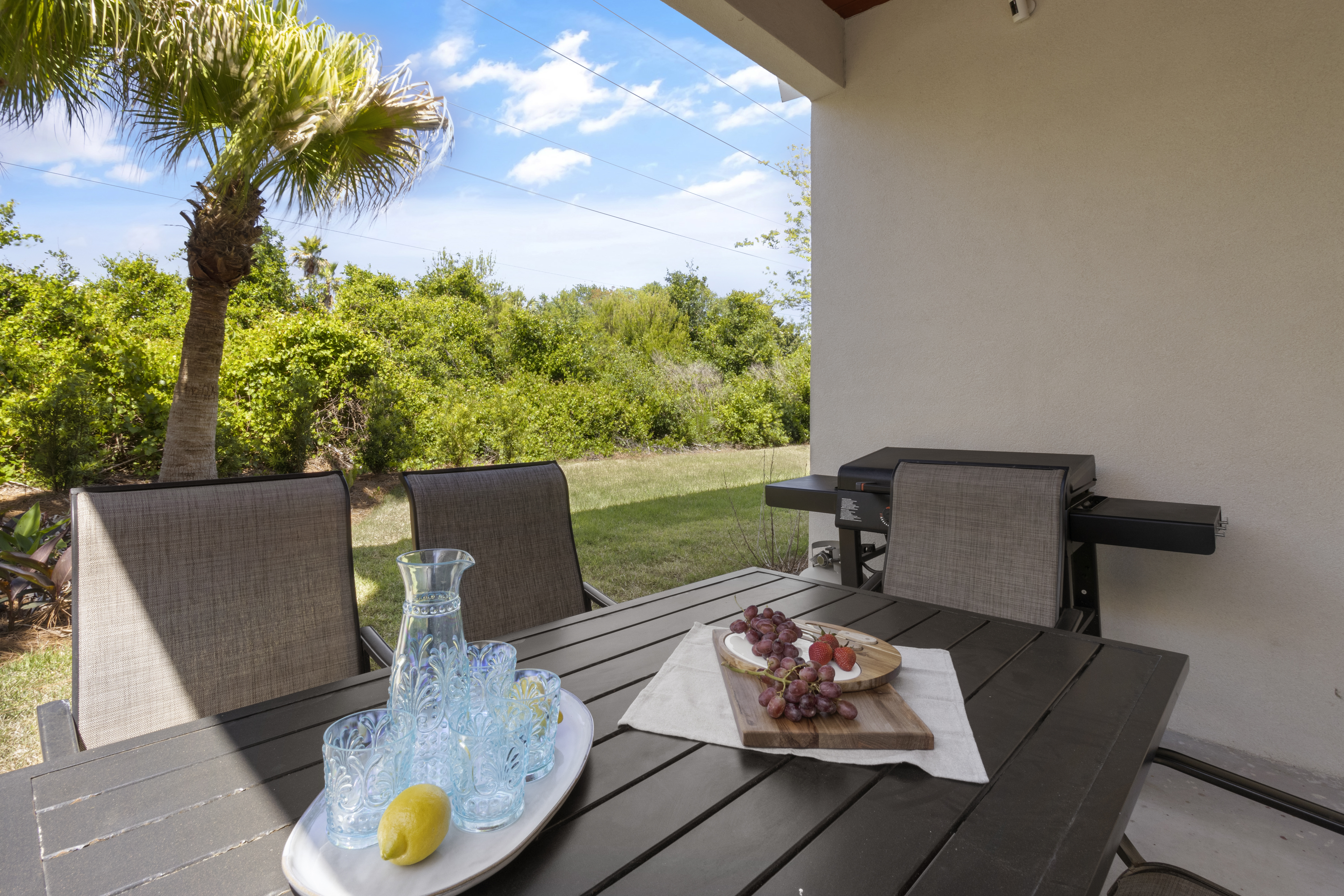 Back patio with Blackstone grill