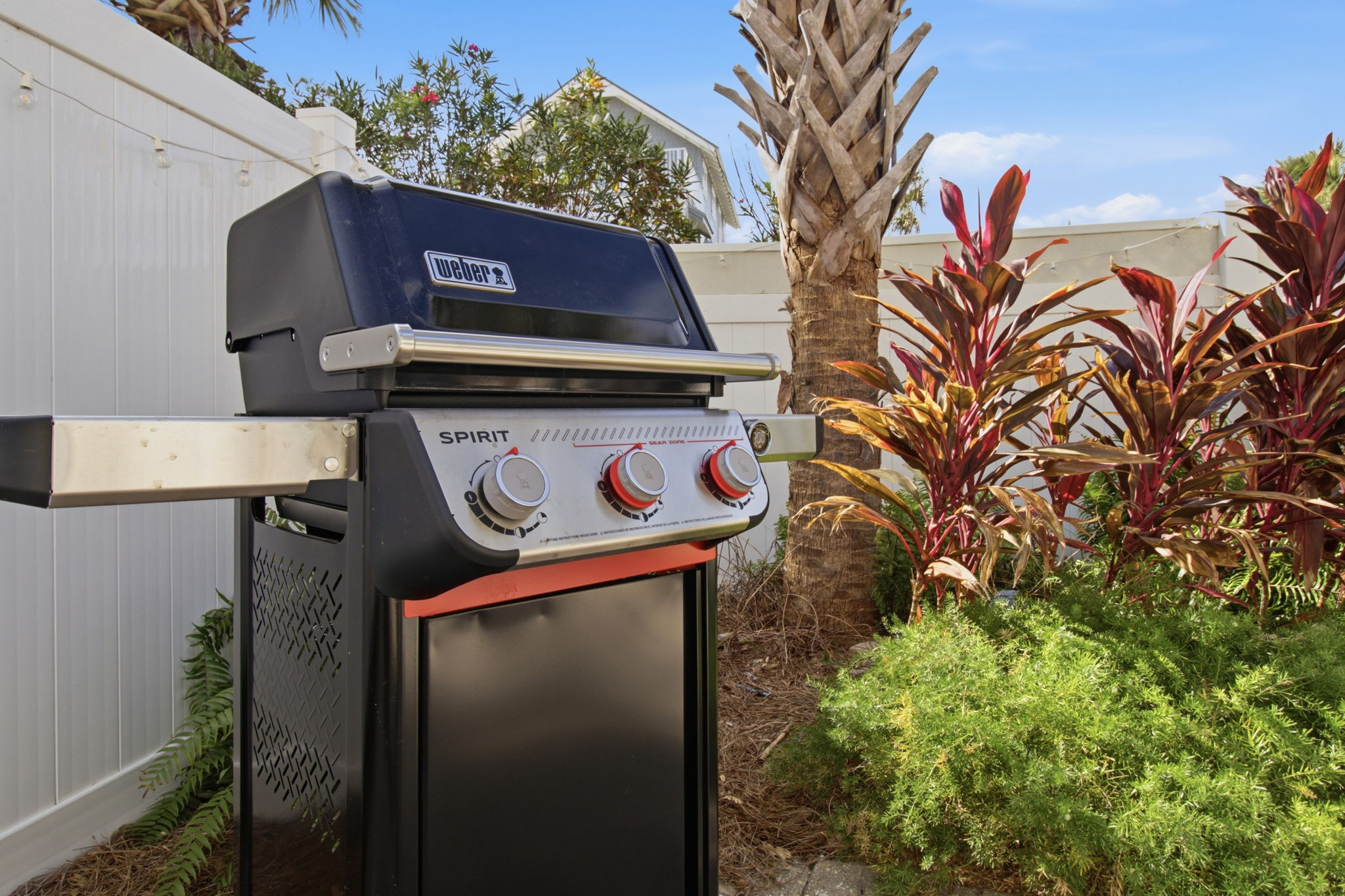 Gas grill