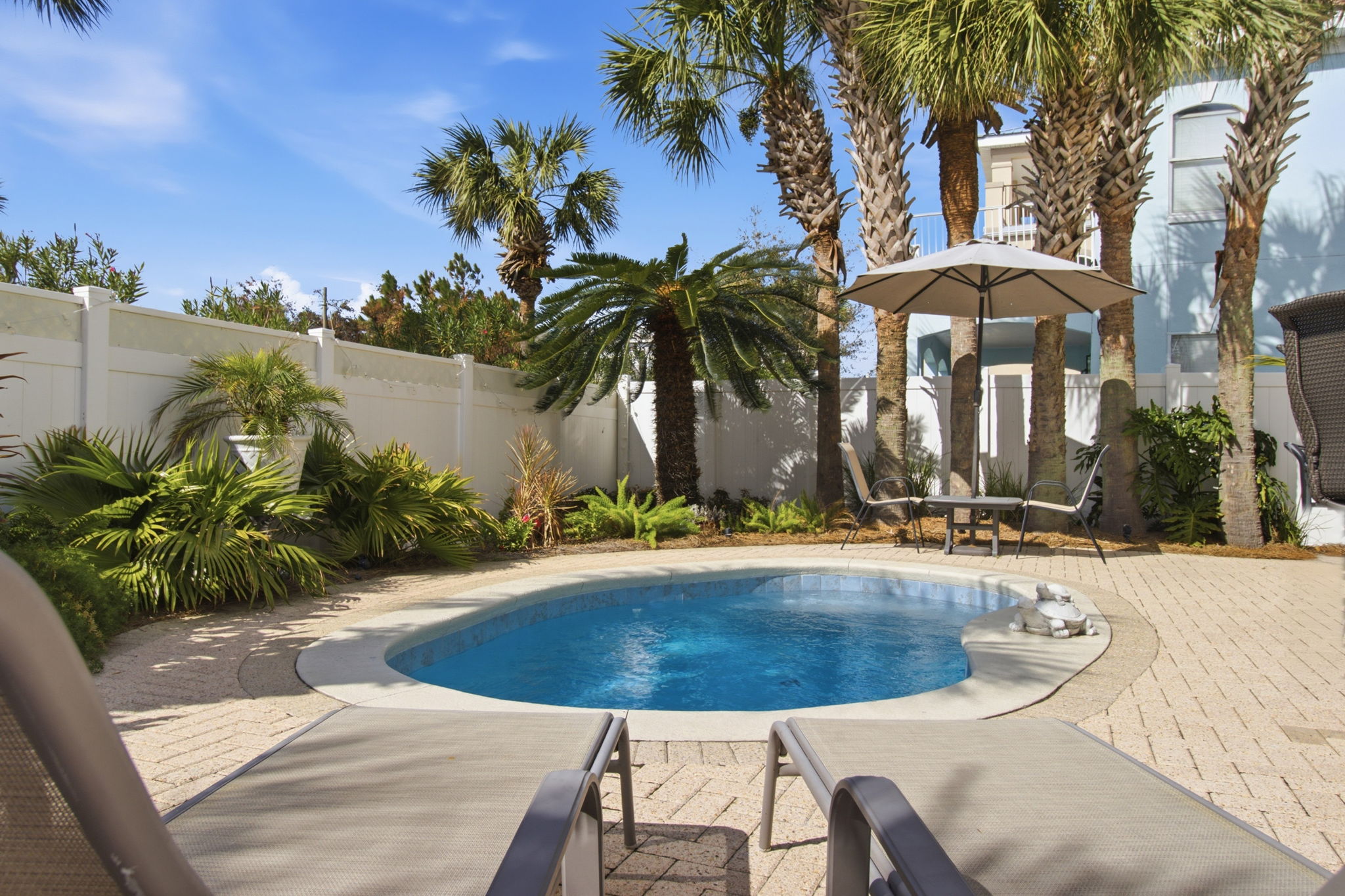 Spacious backyard with private pool