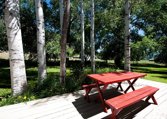 Home with Animas Valley Views - 10 minutes from Downtown - 30+ day Rental 4