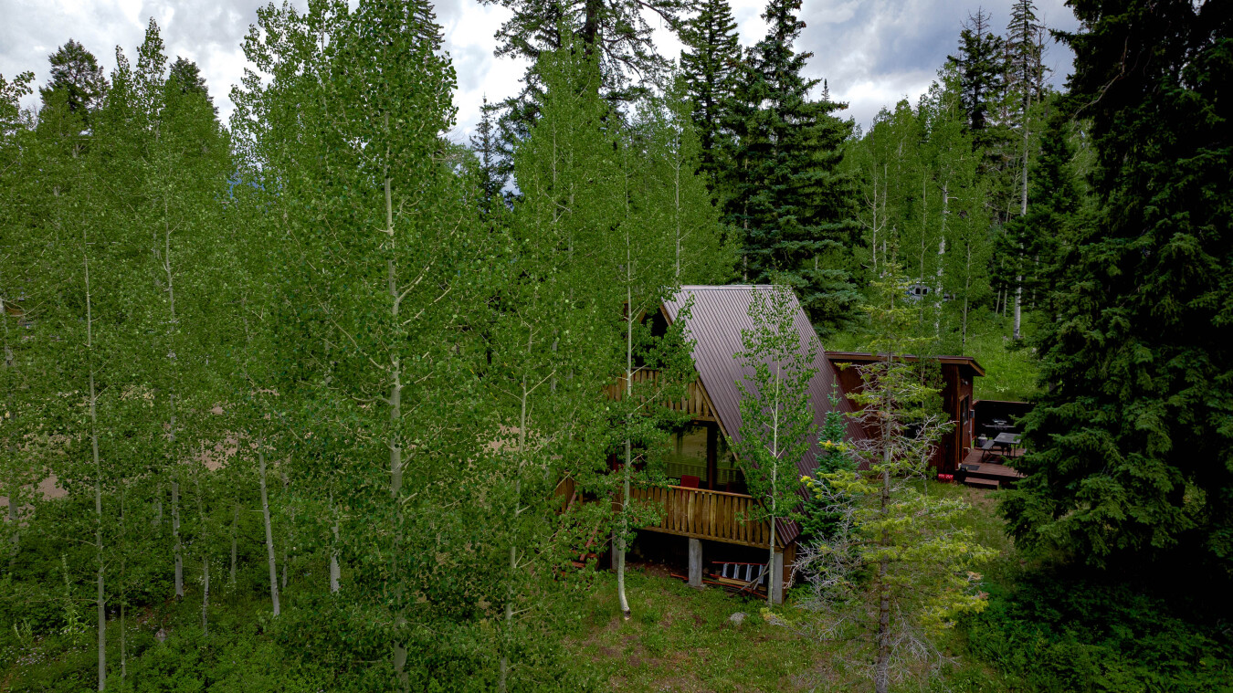 Pet Friendly Cabin on Pond on 1 Acre - Hot Tub - 2 Miles from Purgatory | Photo 23