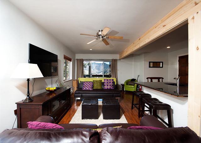 Completely Remodeled Ski in/Ski Out condo - Amazing Views and Great Deck 4