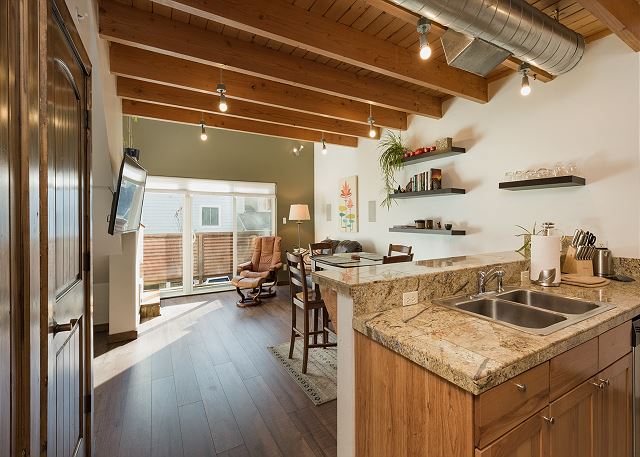 Updated Pet Friendly Condo - Walk to Main Street - Central AC 4