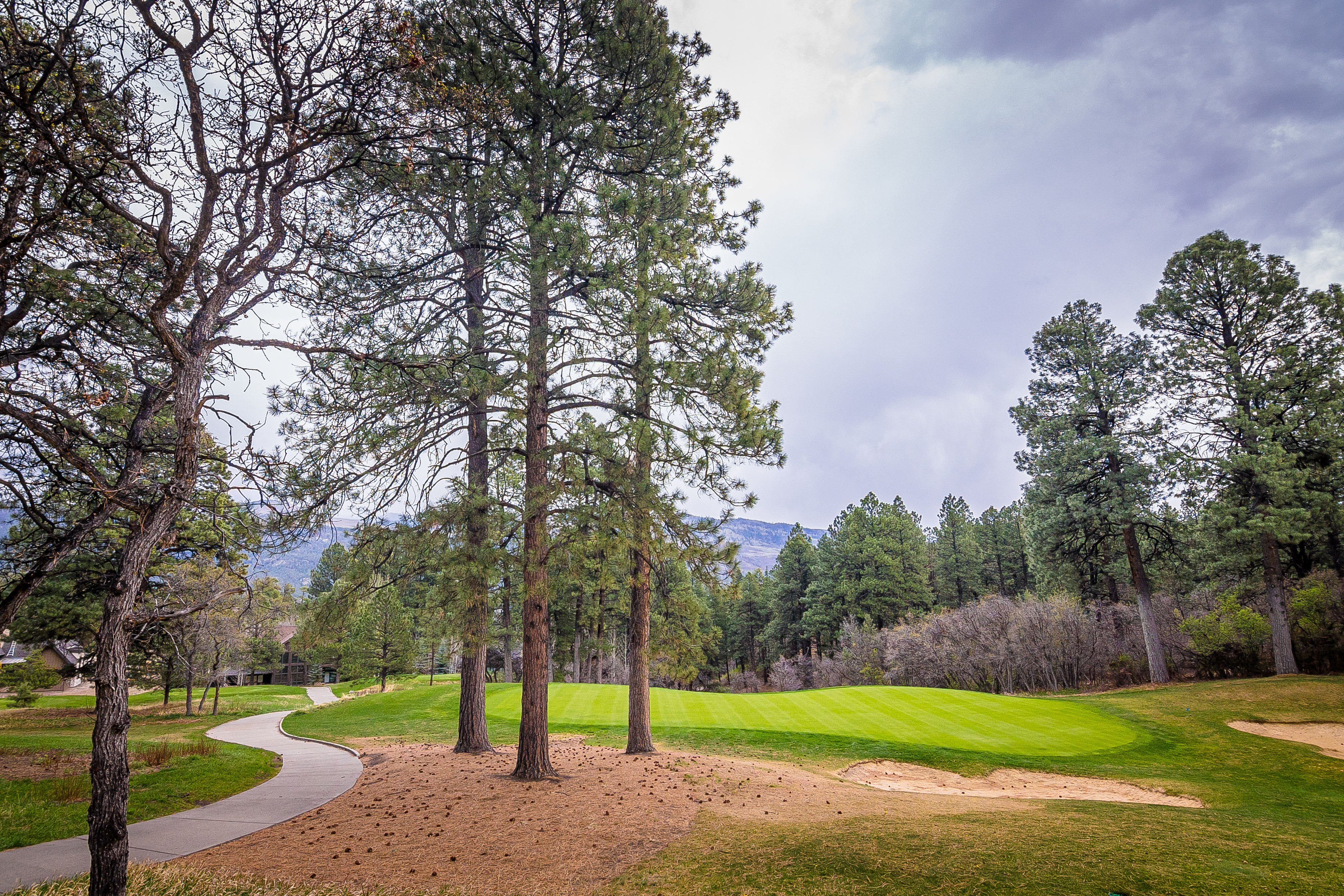 Painted Sky (#745) | At Golf, Near Ski - Views - AC/Pool/Hot Tub | Photo 26