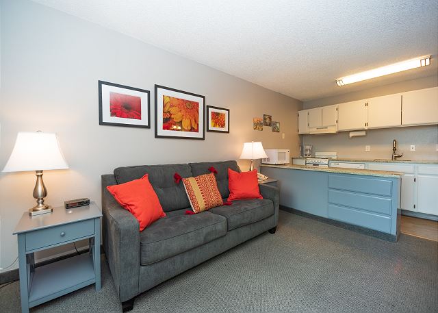 Beautiful River Views - Walk Downtown ~ Fireplace ~ Patio 4