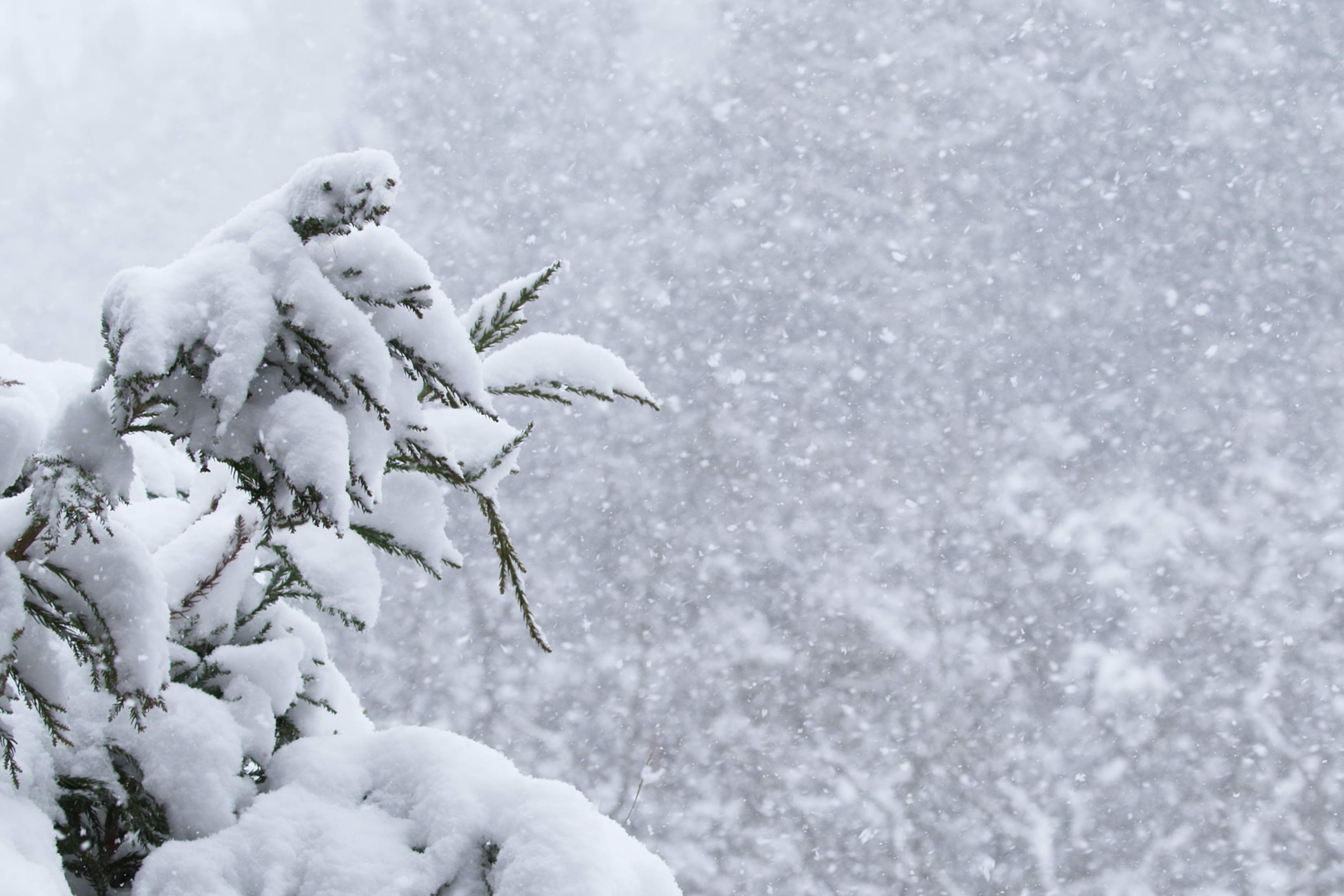 The Stillpoint Retreat (#607) |Near Ski - Deck - Golf/AC/ Pool/Hot Tub | Photo 24