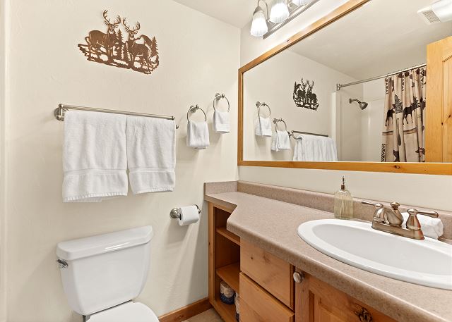 Cozy Remodeled Condo | Walk to Downtown & the River | Mountain Views 10