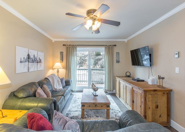 Dog Friendly-Overlooking River-Next to Ouray Hot Springs-Fiber Optic WiFi 2