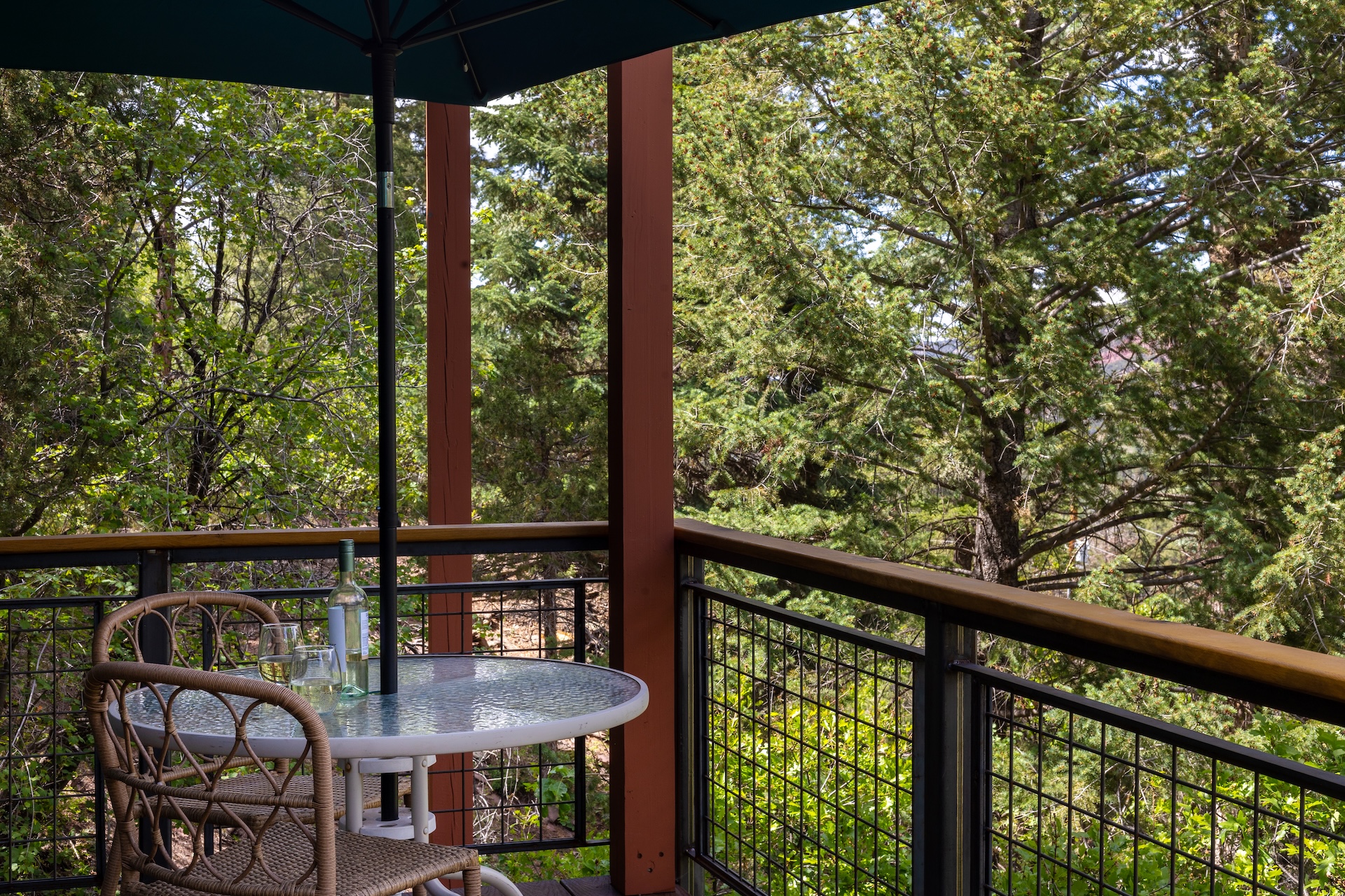 Wrap-Around Deck | San Juan Views | Secluded | Air Conditioning STR2025-045 | Photo 9