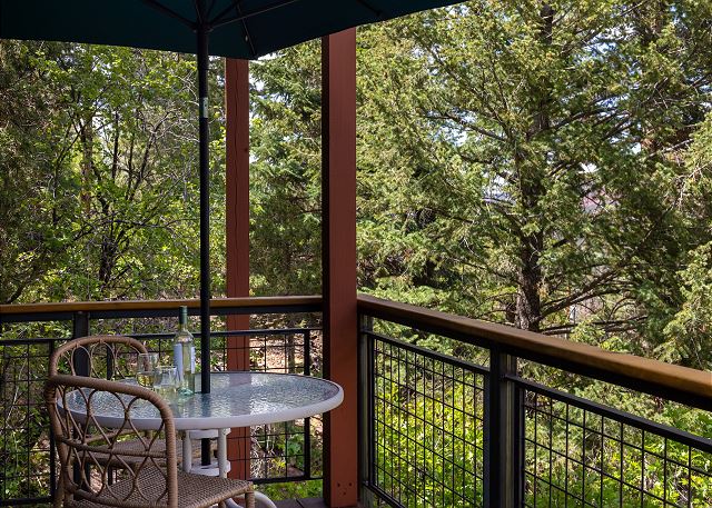 Wrap-Around Deck | San Juan Views | Secluded | Air Conditioning STR2025-045 9