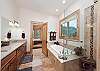 Master Bathroom - Tub and Shower