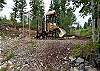 Playground area