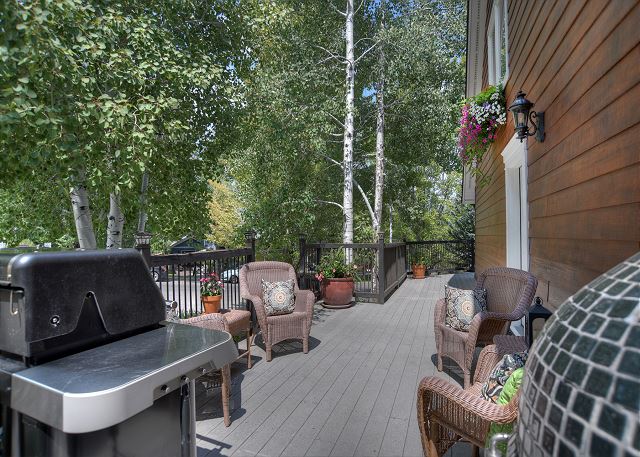 Updated home with views near downtown Durango - Hot Tub, AC & Yard 9