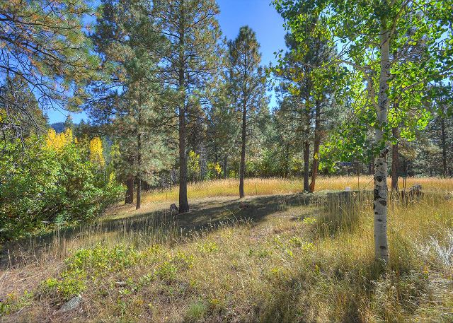 Pine Meadow Cabin | Straw Bale, Solar Powered Cabin in Woods - Pets OK 4