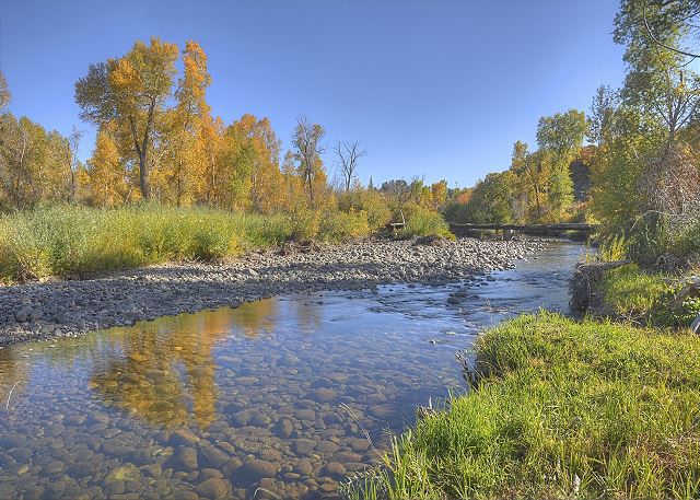 Pine River Retreat | Cabin on the Pine River, Fishing, Privacy, AC, Near Town 6