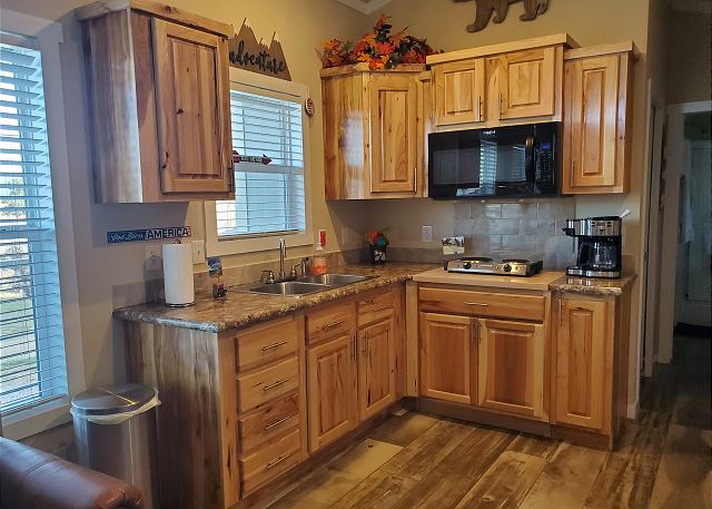 Pine River Model Cabin | Riverfront Views/Access - Privacy, A/C, Near Town 2