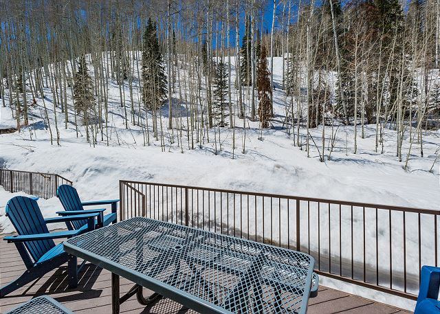 Purgatory townhome with Easy Access to Slopes - Views - EV Charger 7