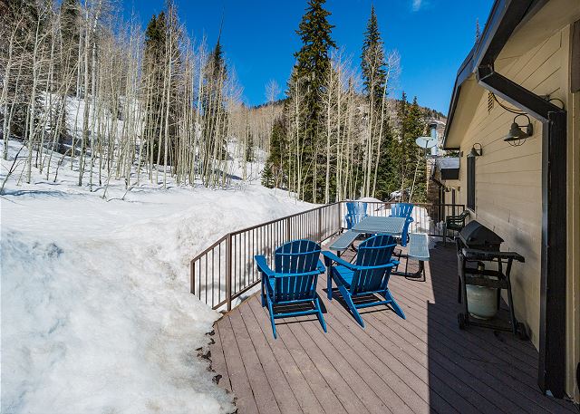 Purgatory townhome with Easy Access to Slopes - Views - EV Charger 6