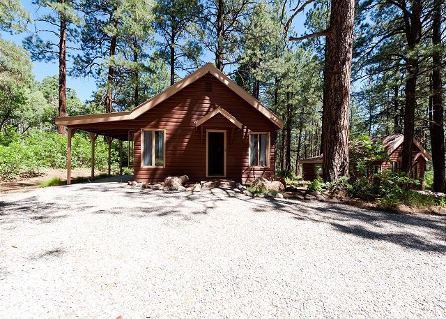 Pet Friendly Cabin on 3.5 acres between Durango and Purgatory - Fire Pit 2