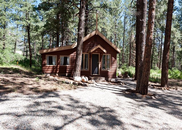 Pet Friendly Cabin on 3.5 acres between Durango and Purgatory - Fire Pit