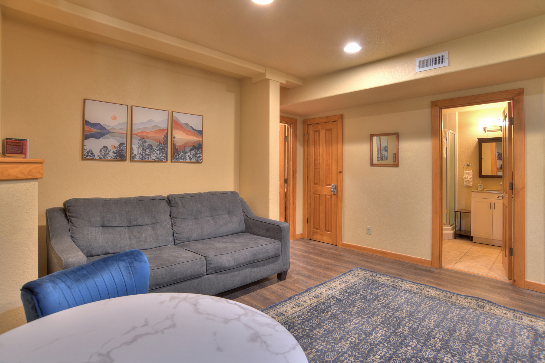 Living space and kitchenette - ground floor apt
Pull Out Sofa (Double) 
Access via garage