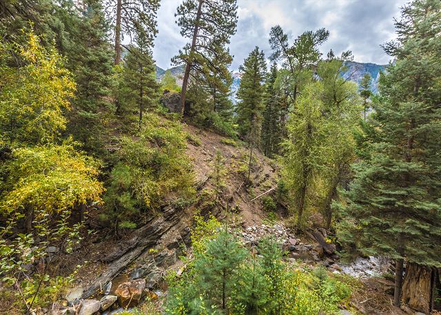 Creekside Hidden Gem - Pet friendly - Close to Downtown Ouray STR2025-028 5