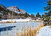 Pond in Winter