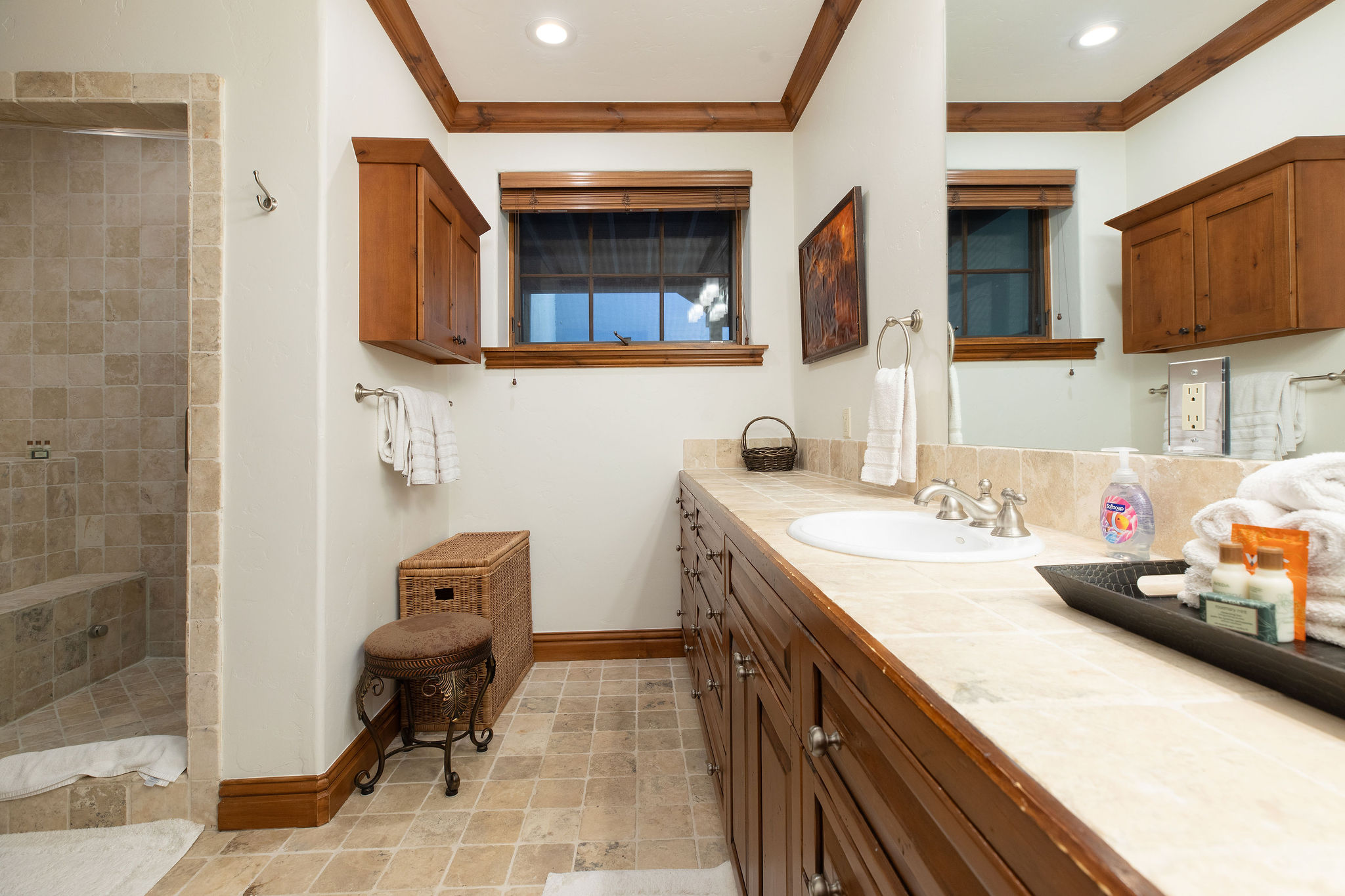 Full bathroom with walk-in shower