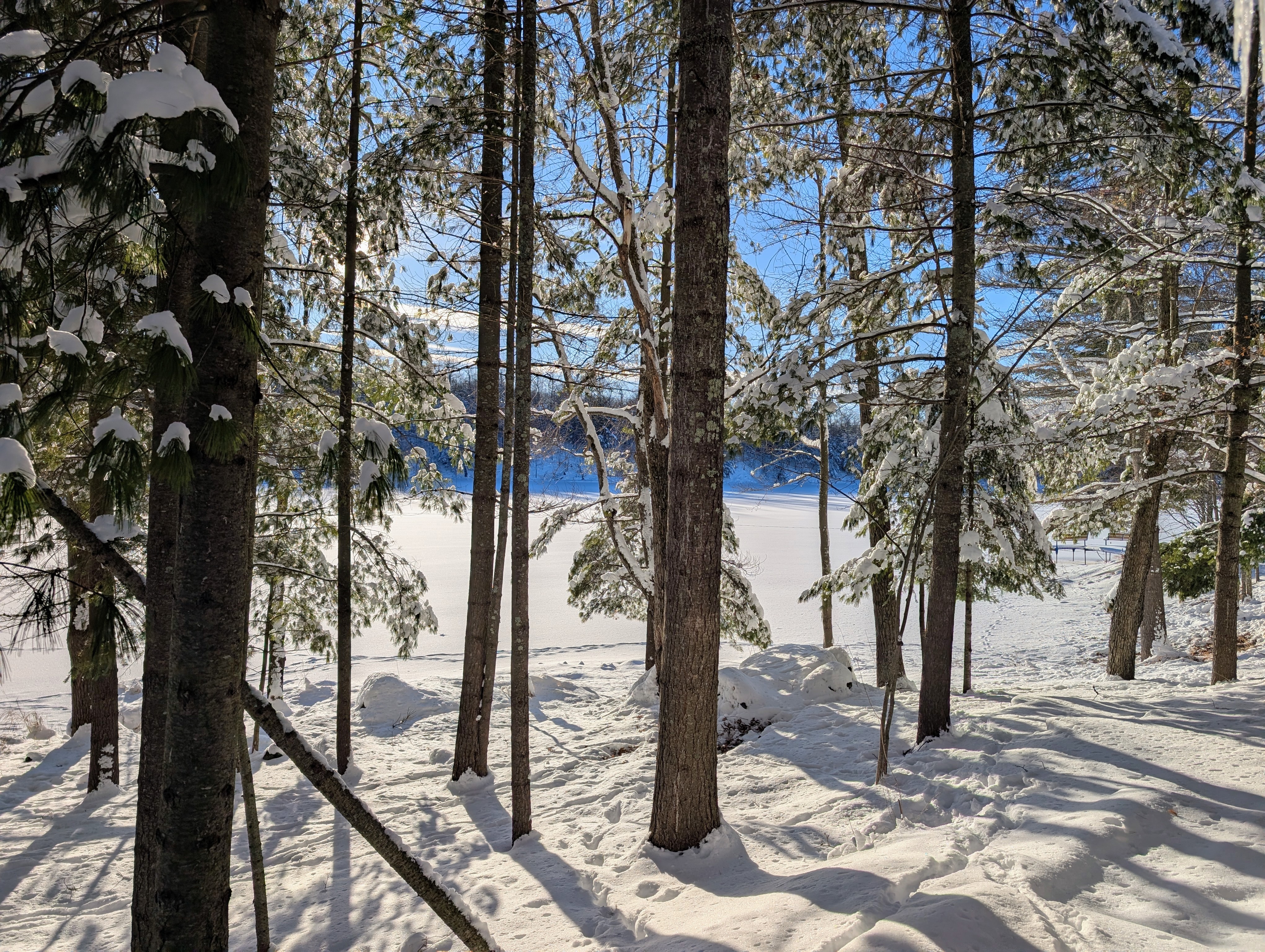 Loon Landing | On Snowmobile Trail, Trailer Parking, Peaceful, Dogs OK | Photo 10