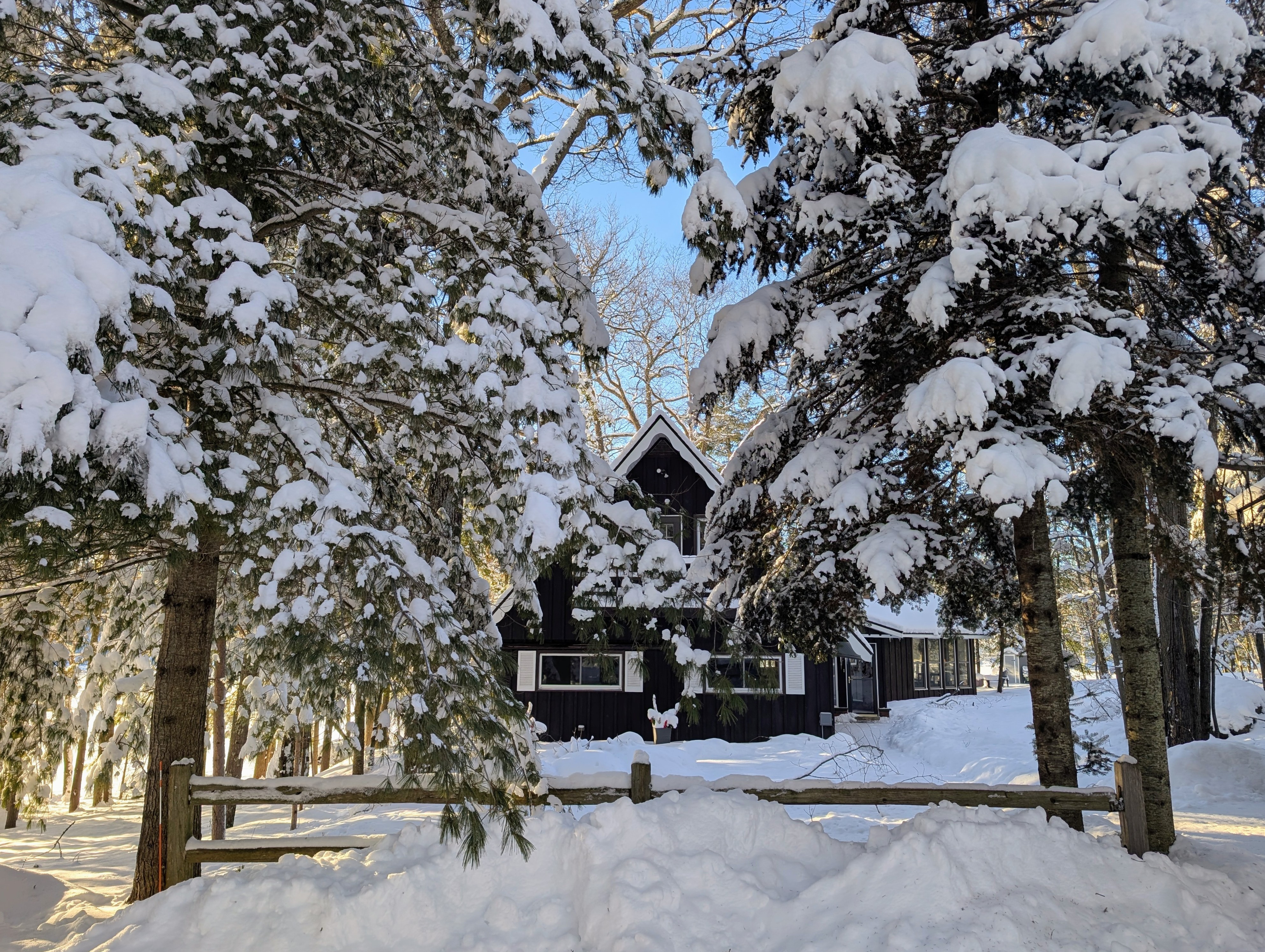 Loon Landing | On Snowmobile Trail, Trailer Parking, Peaceful, Dogs OK | Photo 9