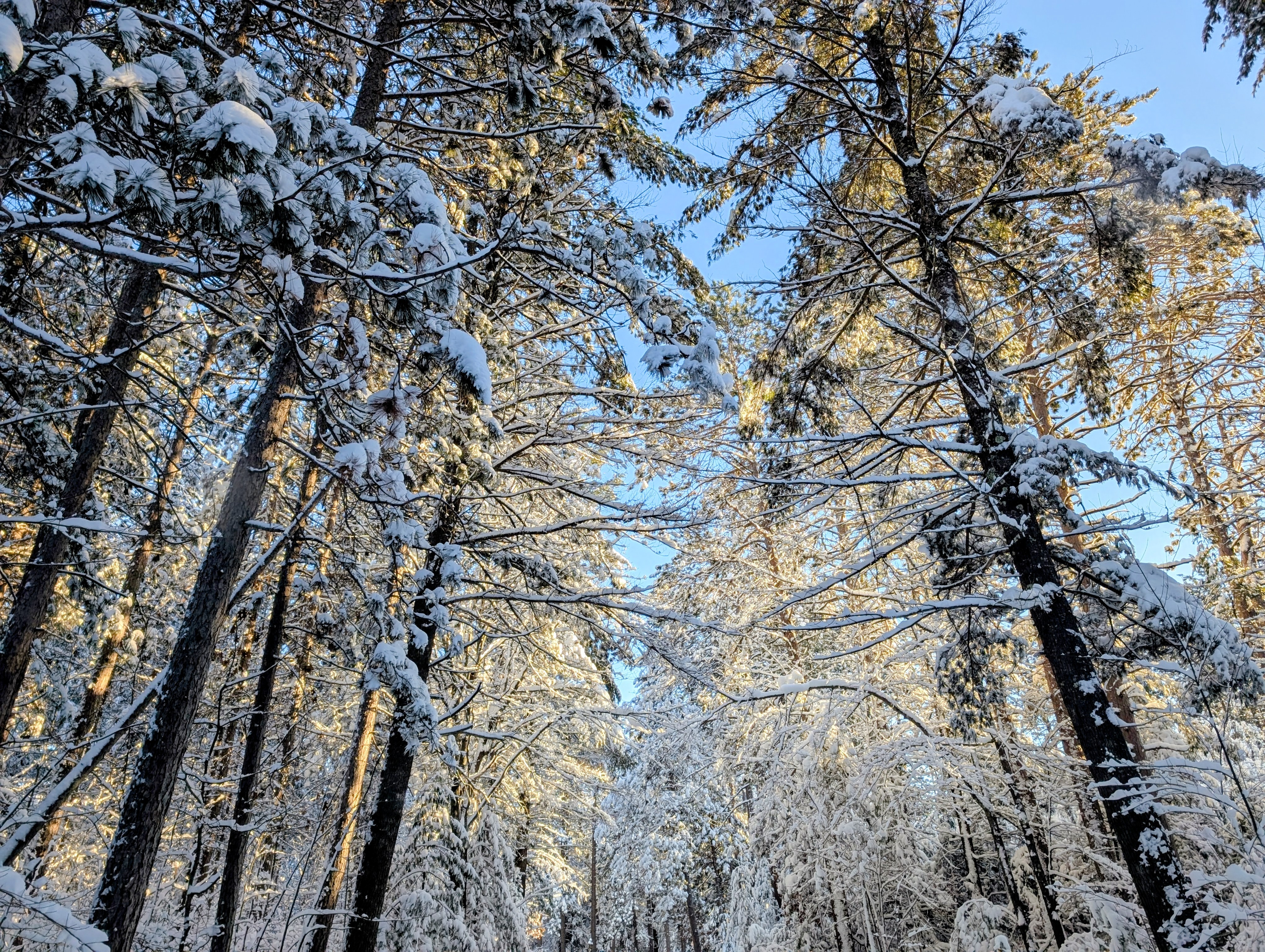 Lakefront Cabin with Fireplace Near Trails with Trailer Parking - Dogs OK | Photo 27