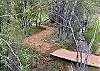 Private nature trail behind the home with stream and waterfall