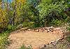 Private nature trail behind the home with stream and waterfall