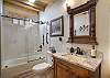 Shared hall bathroom .
