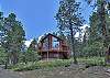 Your front-row seat to the pines
