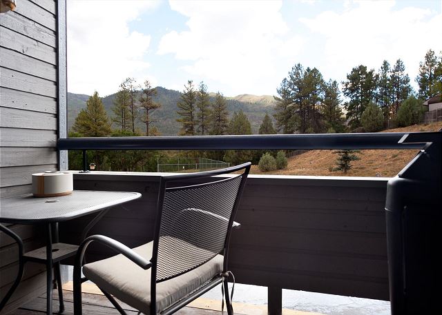 Updated Animas Valley Condo with awesome views 10