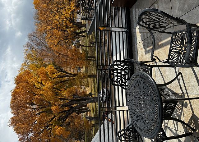 New Listing! Iconic Firehouse Penthouse | Steps to Dining & Downtown Ridgway 2