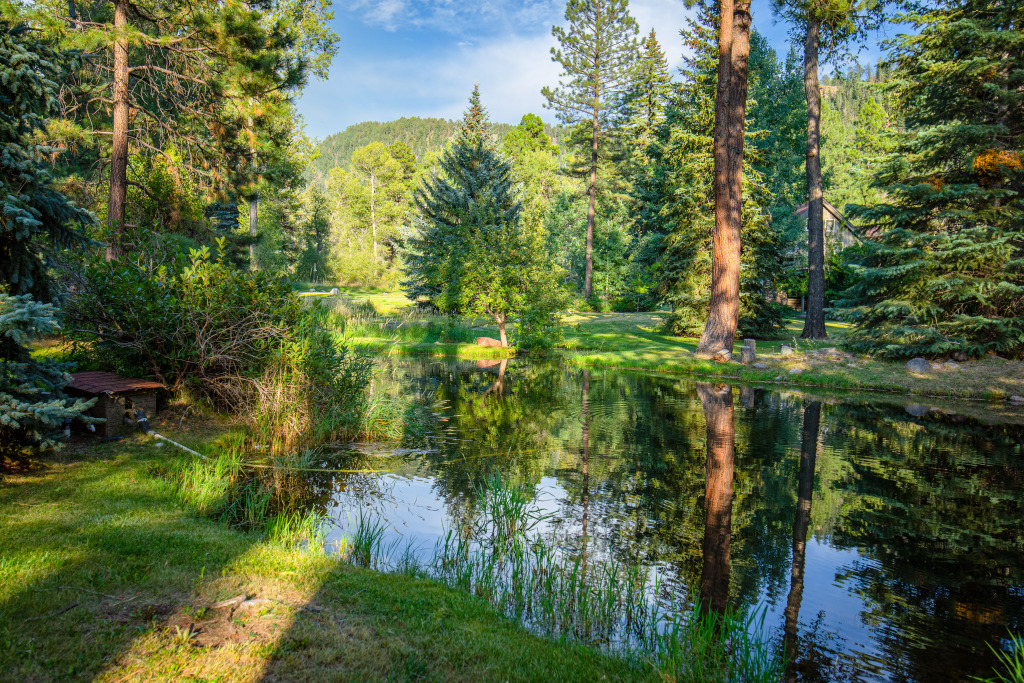 Seasonal pond on the property stocked w/fish (catch and release only)
