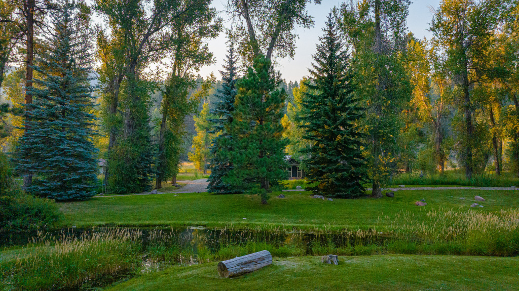 Seasonal pond on the property stocked w/fish (catch and release only)
