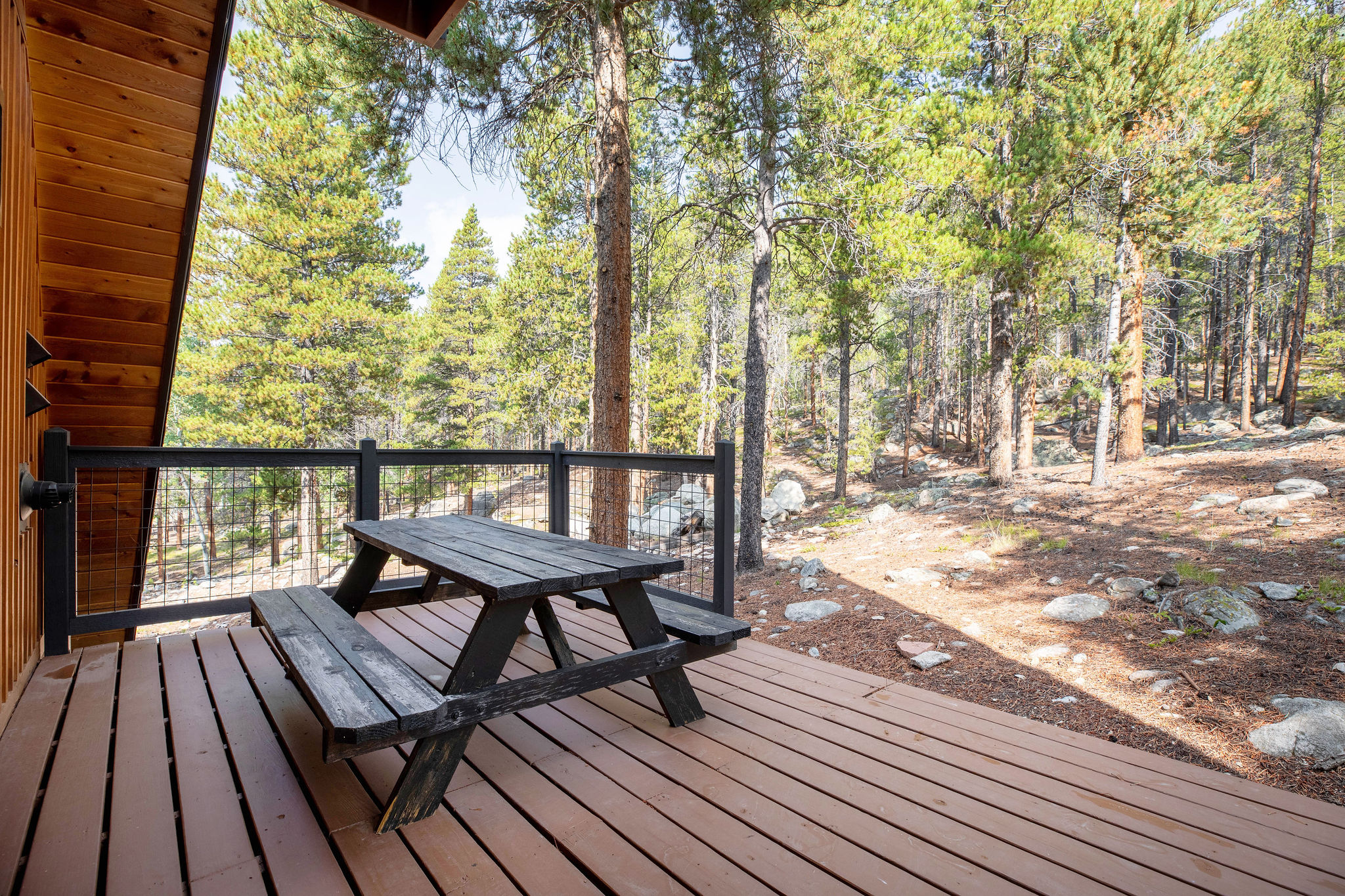 Have a meal outside underneath the pines!
