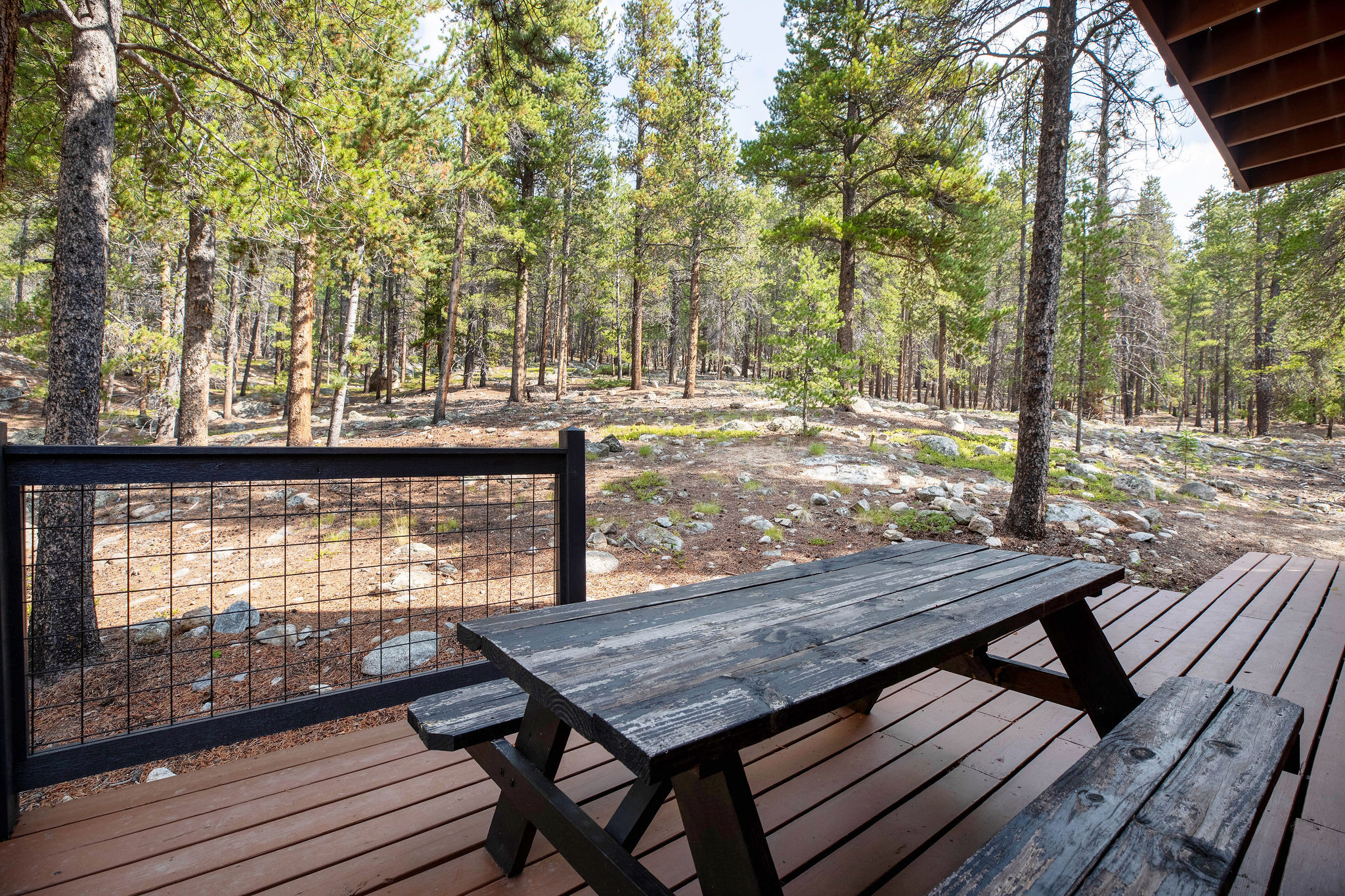 outdoor dining beneath the pines
