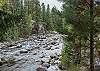 Vallecito Creekside spot - perfect for morning coffee and listening to the water.