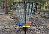 Disc Golf!