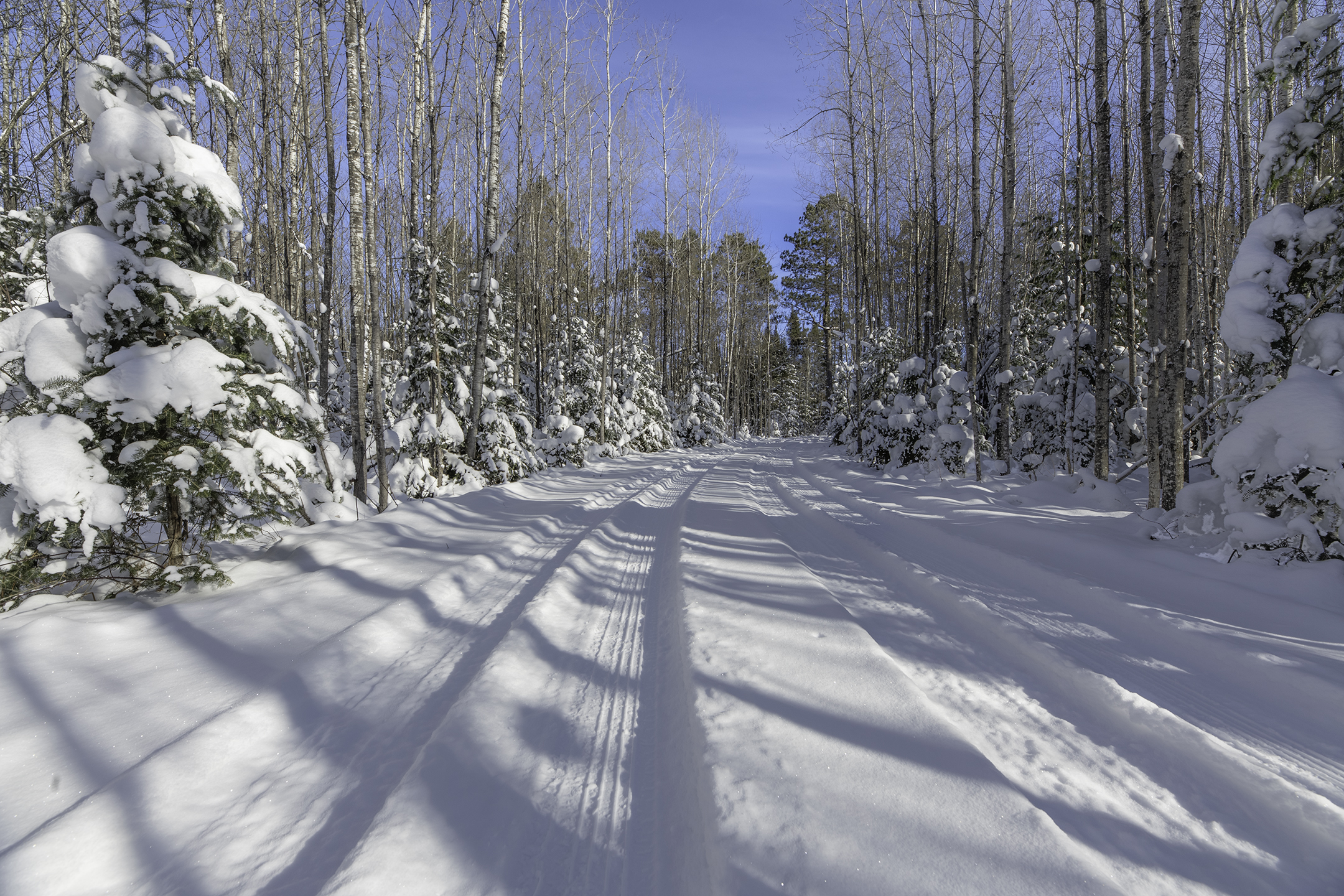 New Listing! Near Lakes & Trails | Hot Tub | Trailer Parking | Dogs OK | Photo 21