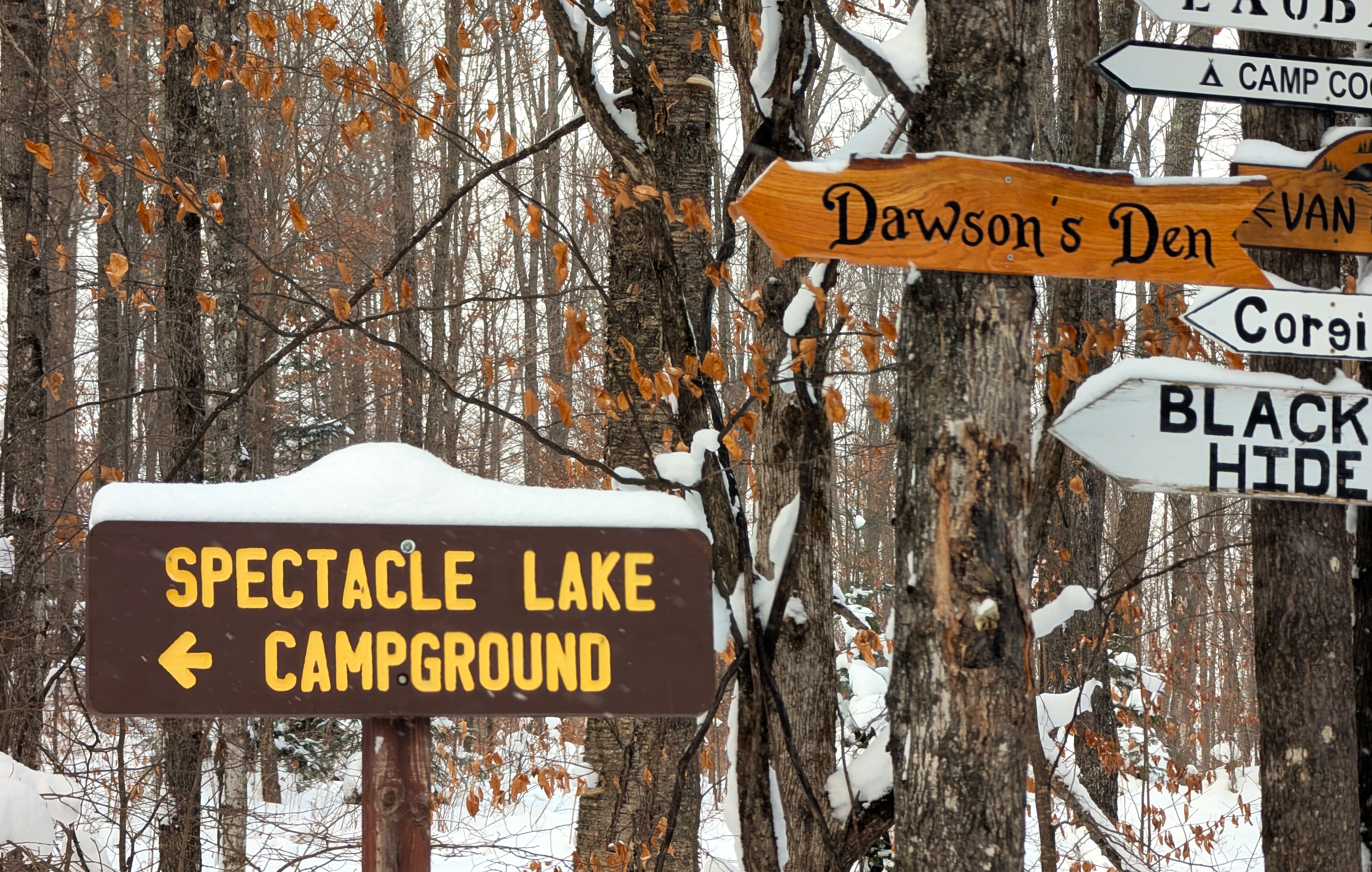 Welcome to Dawson''s Den!
