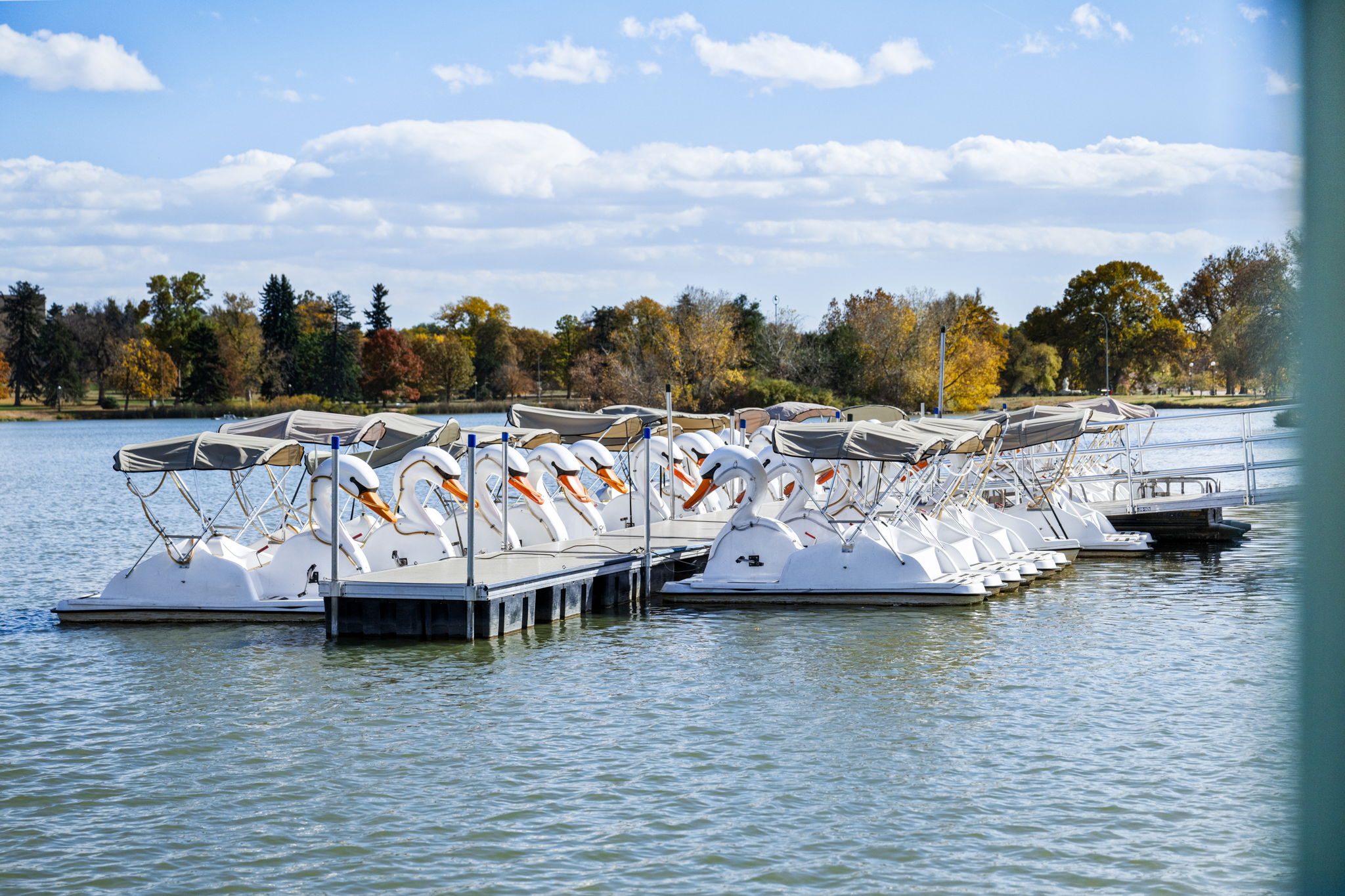 New Listing! Walk to City Park & Restaurants | Extended Stays | Central AC | Photo 48