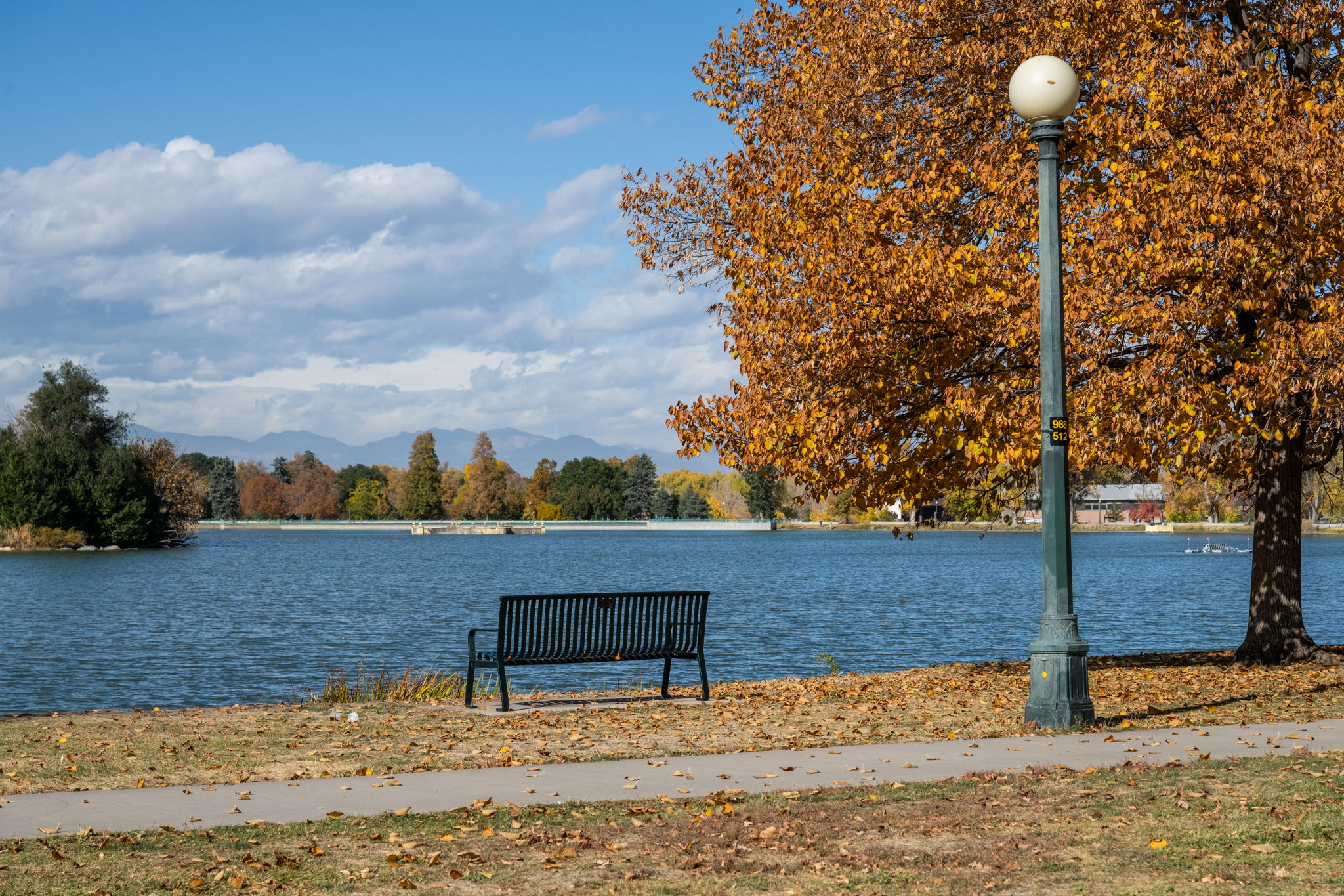 City Park lake views just 3 blocks away—enjoy morning walks to Denver Zoo and City Park Golf Course