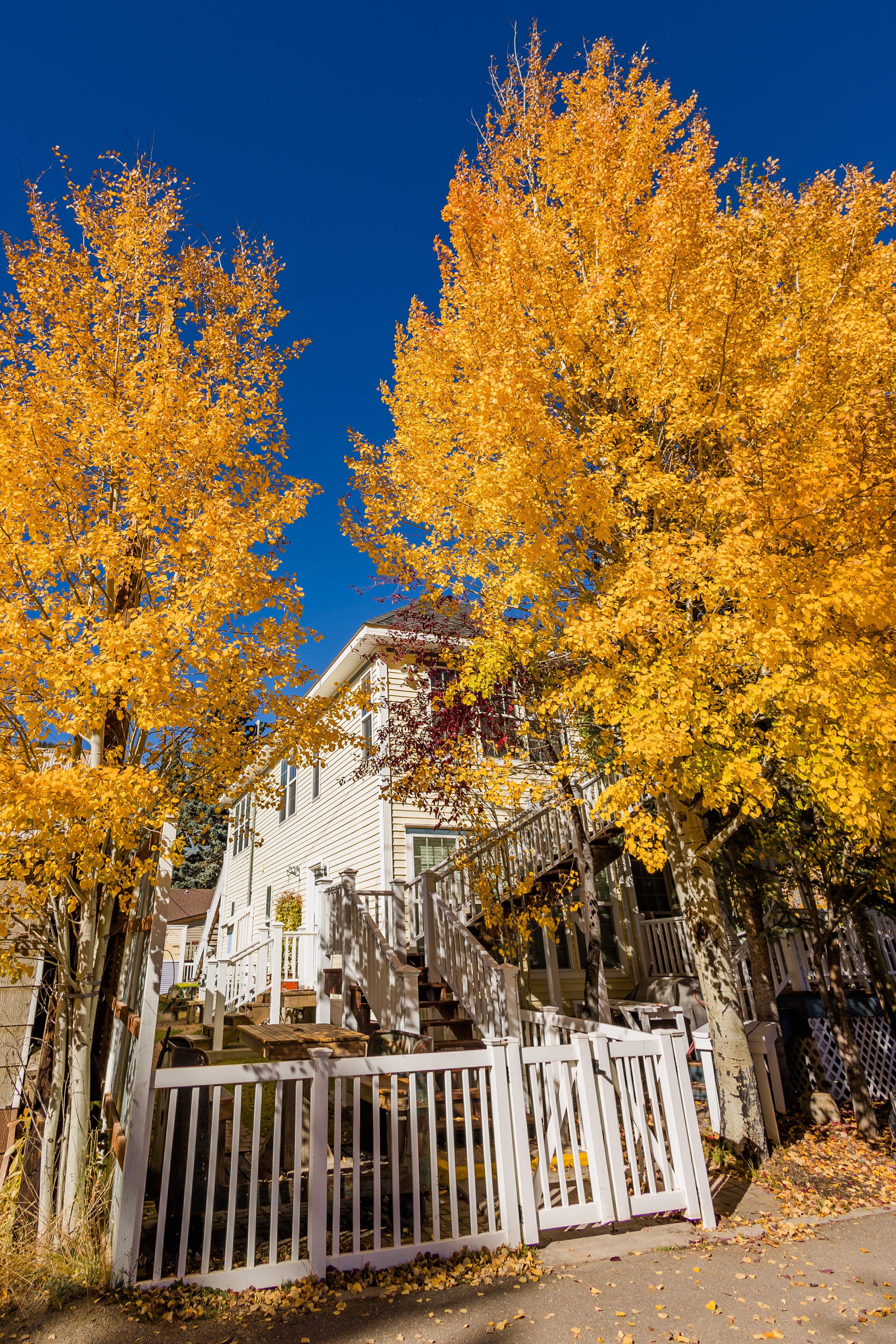 New Listing! Rose Garden Retreat at Dusty Rose Inn | Main Street Creede | Photo 28